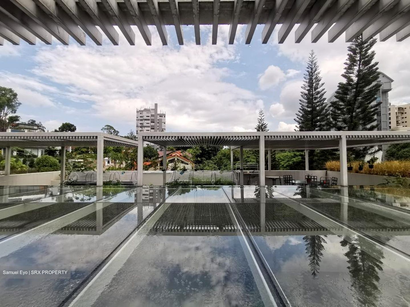Holland Park (D10), Detached #447960911